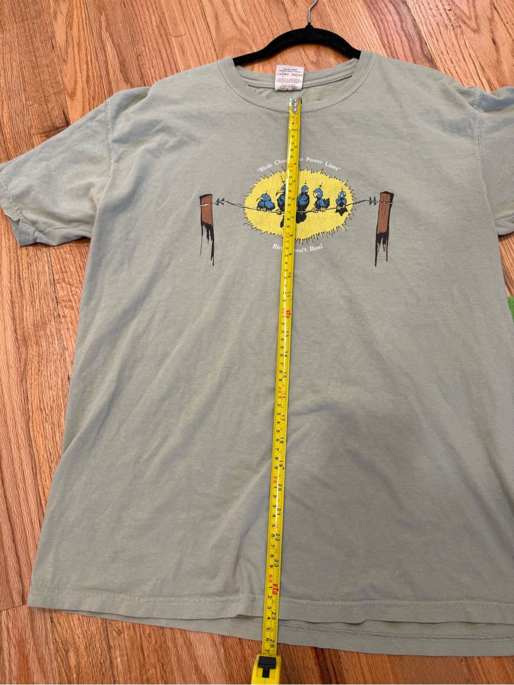 100% cotton birds aren’t real “birds charge on power lines” graphic tshirt - Picture 8 of 11